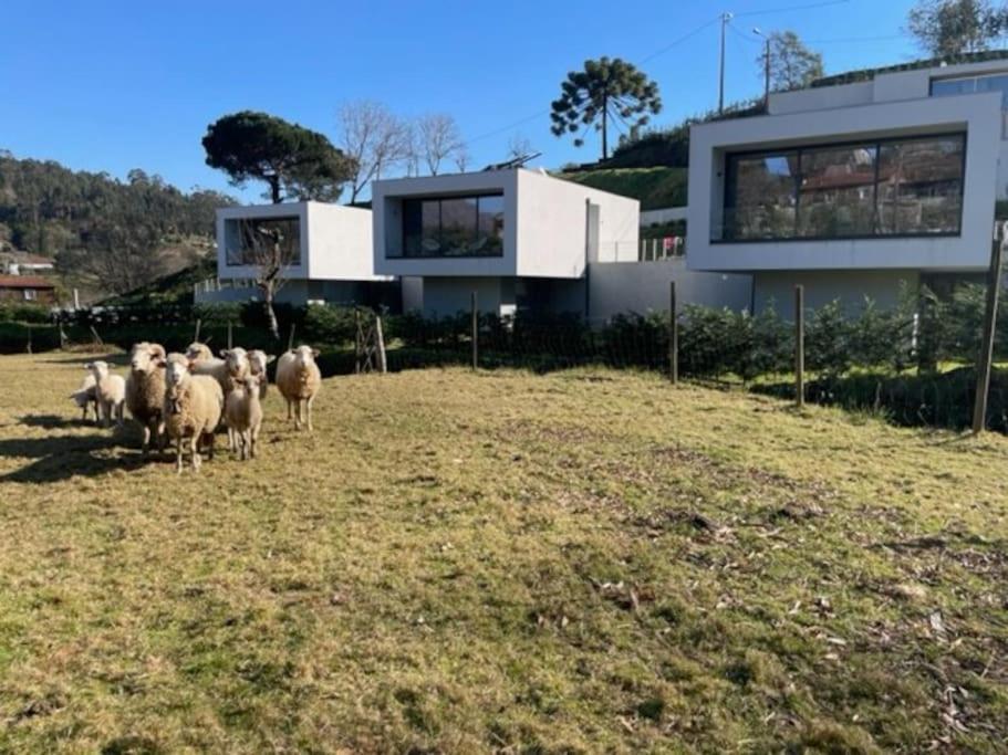 Viana Do Castelo - Amonde Village -Casa A * Relax Bagian luar foto