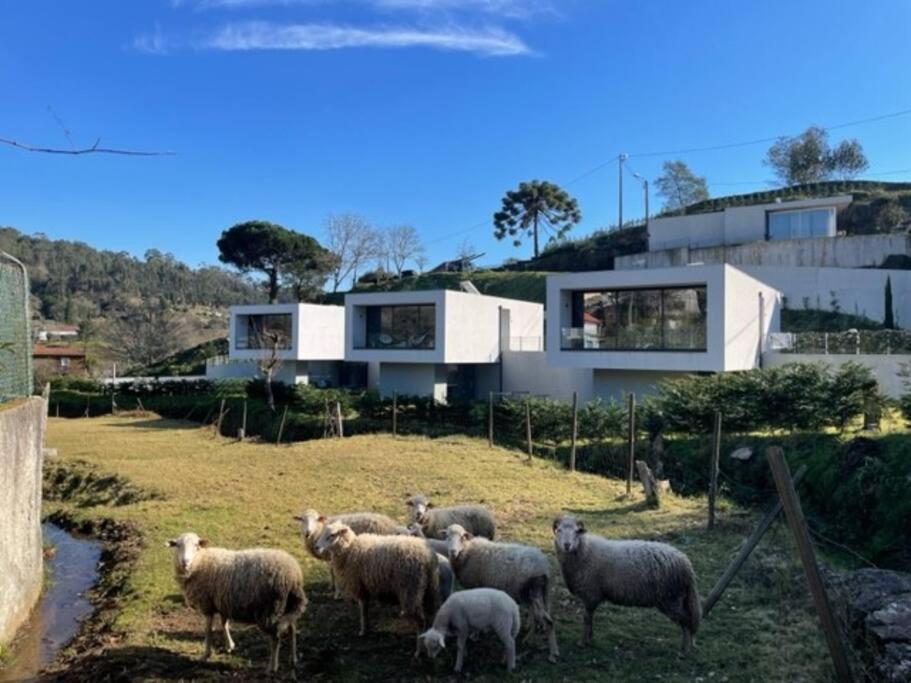 Viana Do Castelo - Amonde Village -Casa A * Relax Bagian luar foto